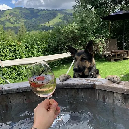 Garni Wieshof Hotel Kirchberg en Tyrol