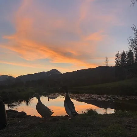 Szálloda Garni Wieshof