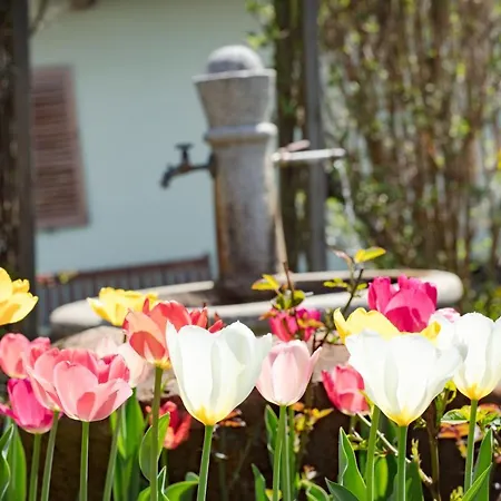 Hotel Garni Wieshof 3*