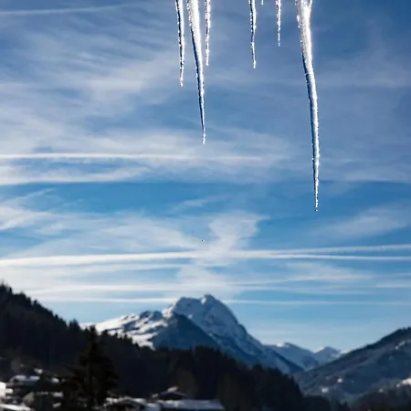 Szálloda Garni Wieshof Kirchberg in Tirol