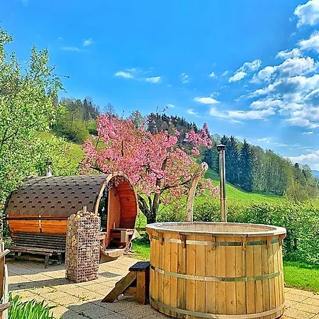 Garni Wieshof Kirchberg in Tirol