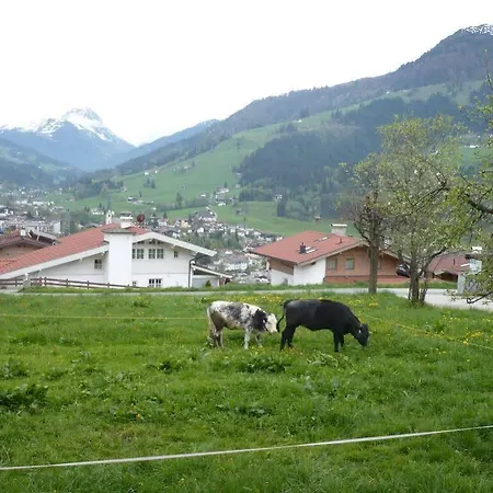 Garni Wieshof 3* Kirchberg en Tyrol