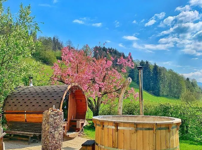 Garni Wieshof Hotel 3*