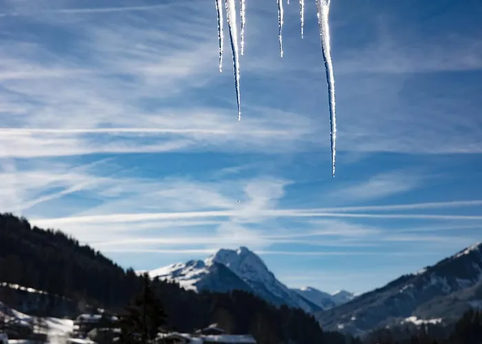 Hotel Garni Wieshof Kirchberg in Tirol
