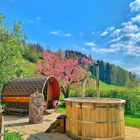 Garni Wieshof Hotel 3*