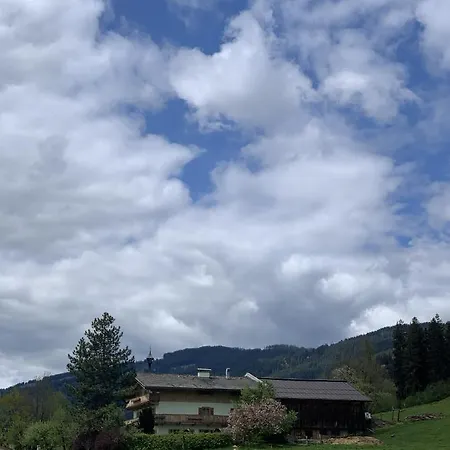 Hotel Garni Wieshof 3*