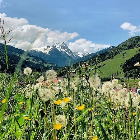 Hotel Garni Wieshof 3*