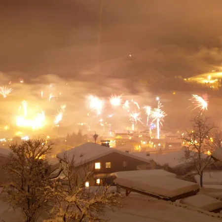 Hotel Garni Wieshof 3*