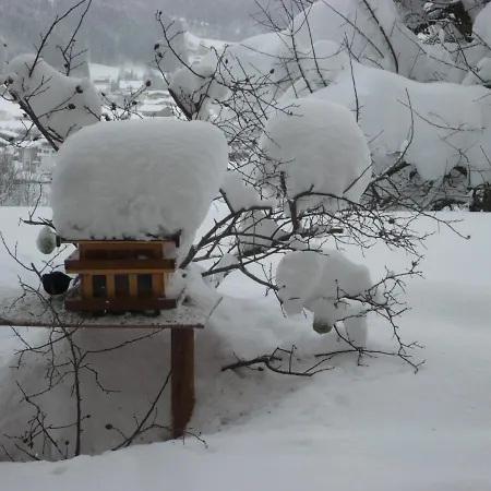 Hotel Garni Wieshof Kirchberg in Tirol